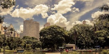 Poluição do Ar no Brasil: Impactos na Saúde Respiratória e Soluções - Cover Image