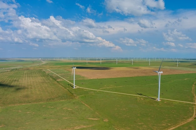 Energia Renovável no Brasil até 2030: Um Futuro Sustentável