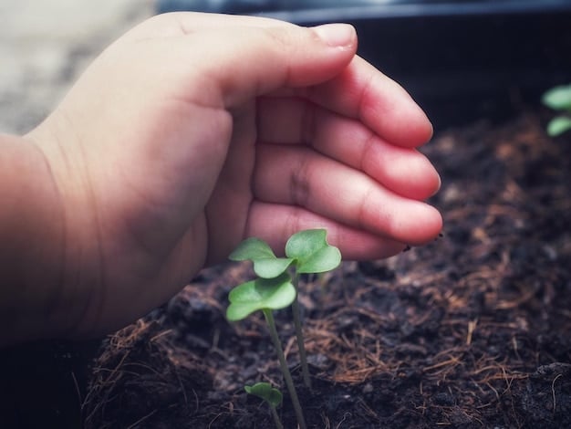 A close-up shot of hands holding fertile soil with a young plant seedling, symbolizing the importance of sustainable soil management in agriculture.