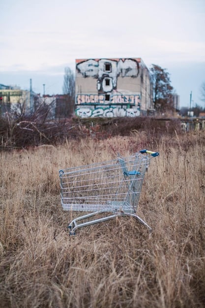 A split image showing two shopping carts: one overflowing with goods in a low-inflation scenario, and another with significantly fewer items in a high-inflation scenario.