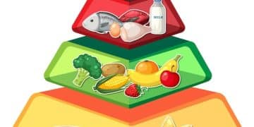 Nova Pirâmide Alimentar Brasileira: Guia Completo e Atualizado - Cover Image