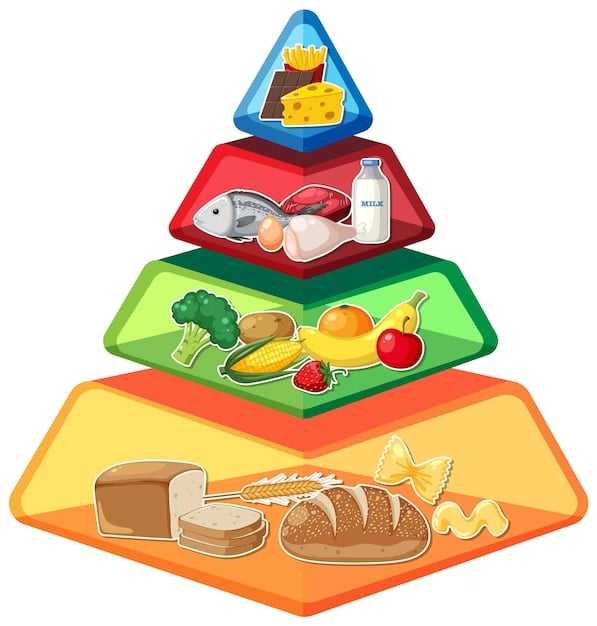 Nova Pirâmide Alimentar Brasileira: Guia Completo e Atualizado