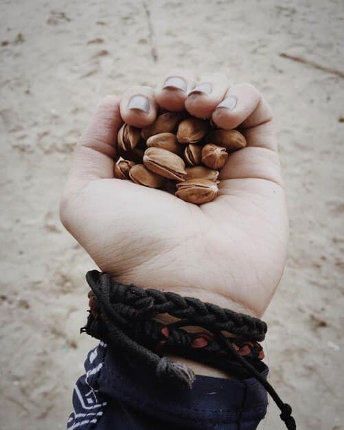 A close-up shot of a handful of Brazil nuts, highlighting their smooth, brown shells and varying sizes. They are arranged on a dark, natural surface, conveying a sense of their natural origin and nutritional richness.